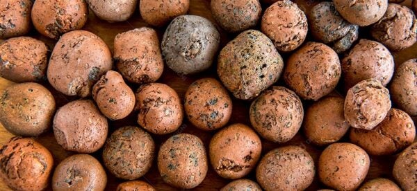 Veja quando e como usar argila expandida na sua obra ou reforma