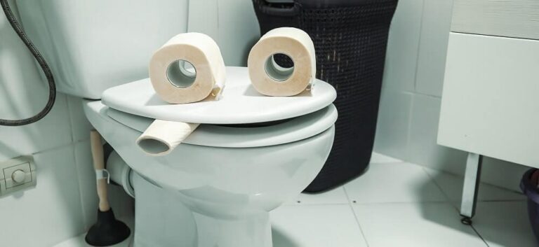 Afinal, papel higiênico entope vaso? Descubra se pode ou não jogar papel na privada!