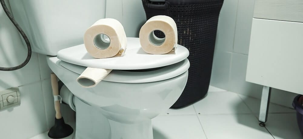 Afinal, papel higiênico entope vaso? Descubra se pode ou não jogar papel na privada!